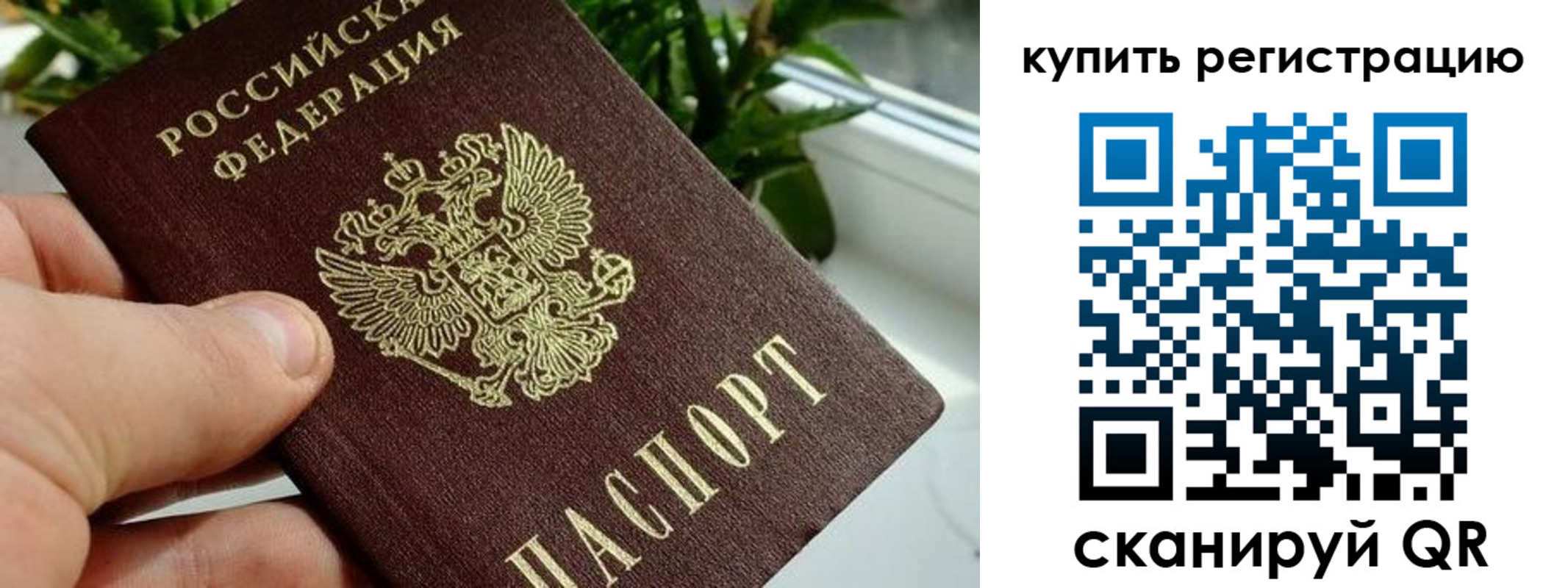 прописка гарантия в Ясном